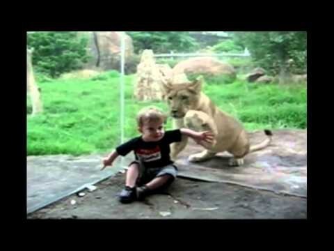 Дети в зоопарке 