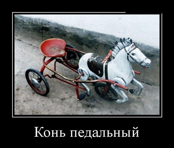 Конь педальный боевой картинка