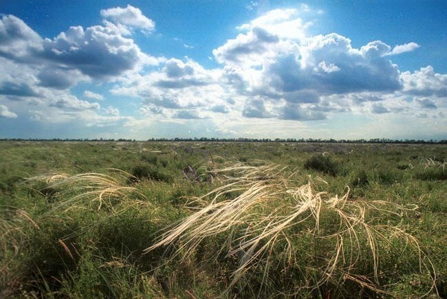 Заповедник Аскания-Нова, Украина