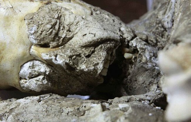  Археологи обнаружили тела жителей Помпеи под окаменевшей лавой 
