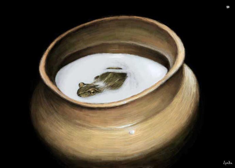 В Древней Руси, живых лягушек помещали в молоко, чтобы предотвратить его скисание.