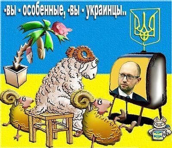 Яценюк придумал, как обойти российские продовольственные санкции