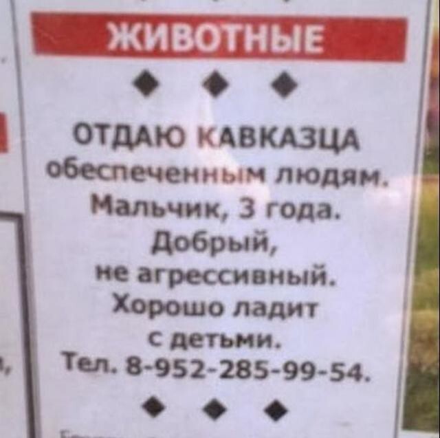 Забавные надписи