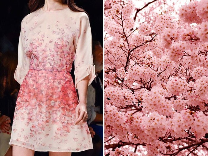 Blumarine весна/лето 2015 и Японская вишня в цвету