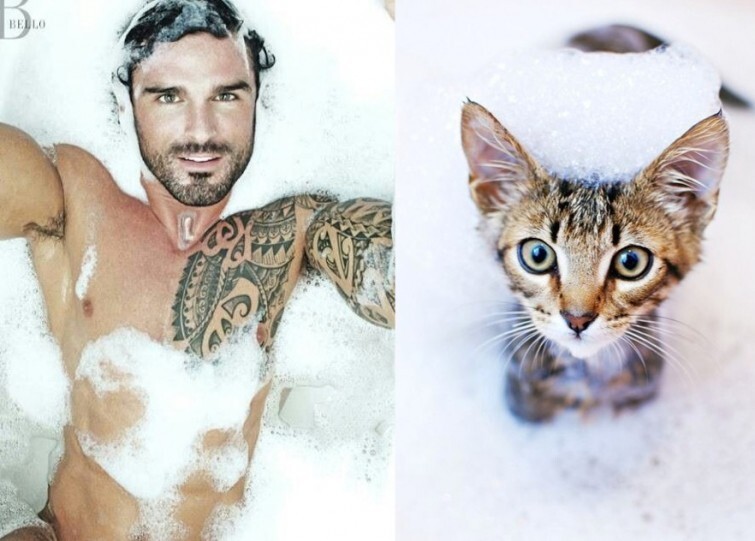23 очаровательных кота, пародирующих фотографии моделей