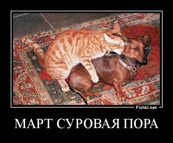Март суровая пора