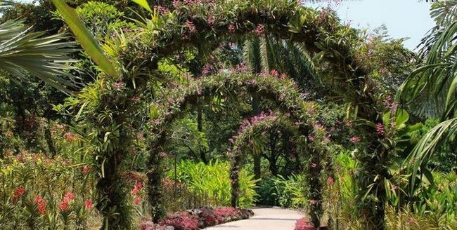 Парк орхидей в Сингапуре
