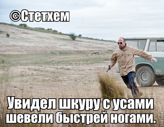 Цитаты Джейсона Стэтхэма