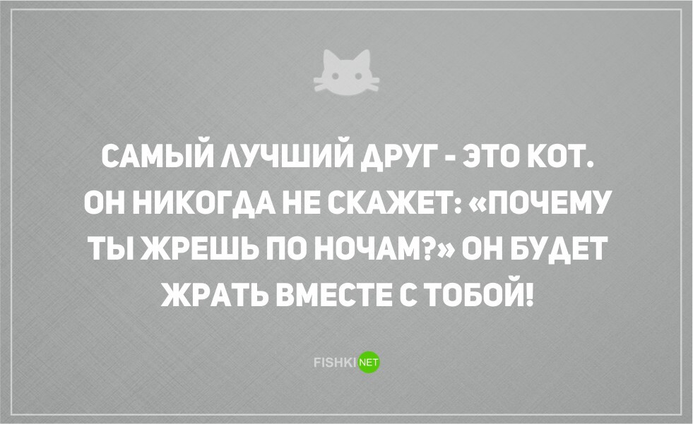 Самый лучший друг это кот. Кот юмор. Котики цитаты. Кот ест с аппетитом. Кот по украински.
