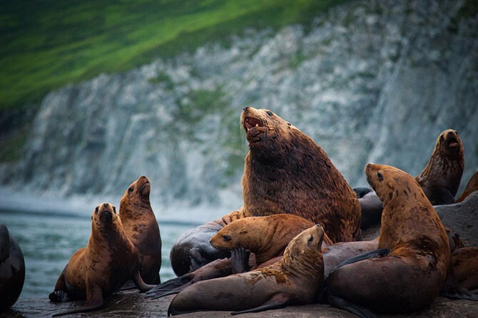 Лучшие фотографии августа 2015 от National Geographic