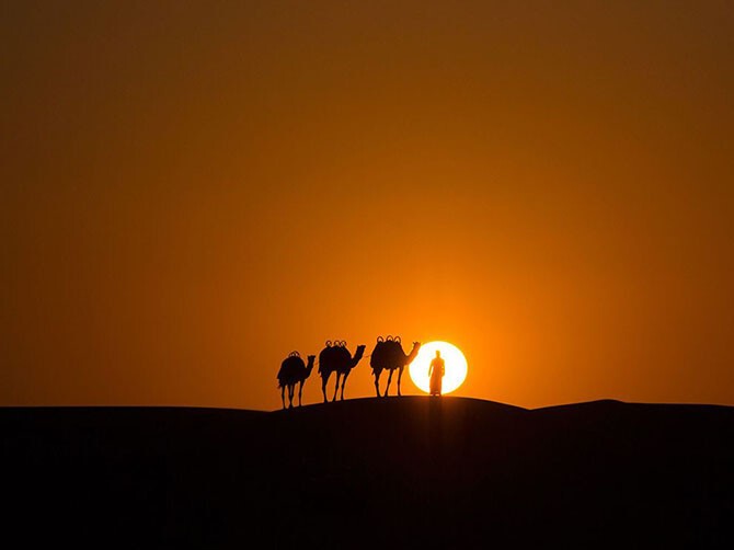 Караван в пустыне на закате. (Фото Rogel Tura):
