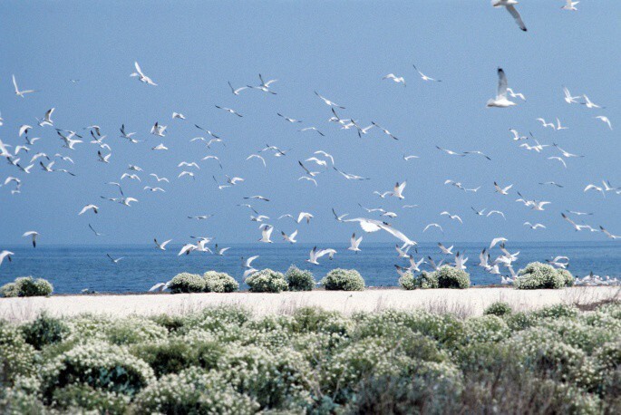 Крым туристический: ностальгическое путешествие