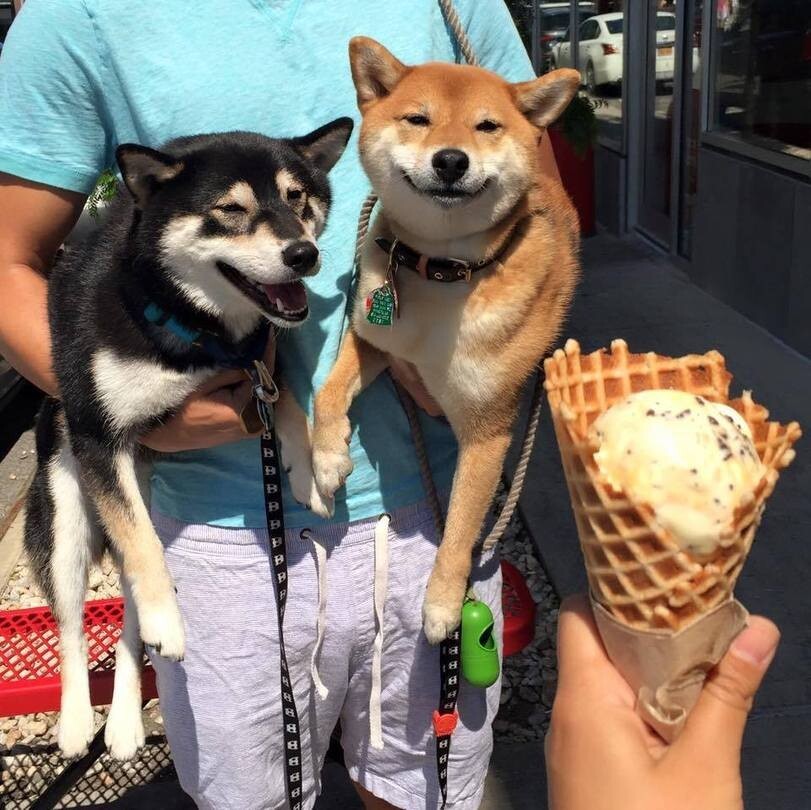 Все любят мороженое 
