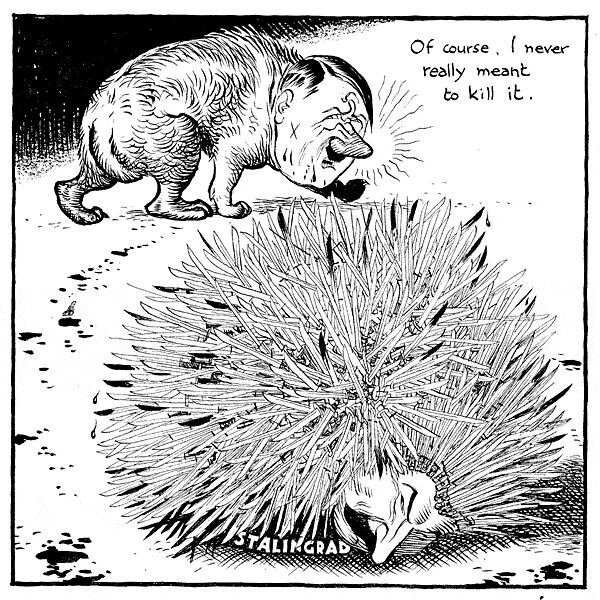 Рисунки и карикатуры