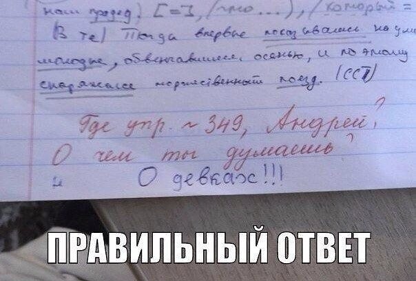 Веселые картинки с надписями