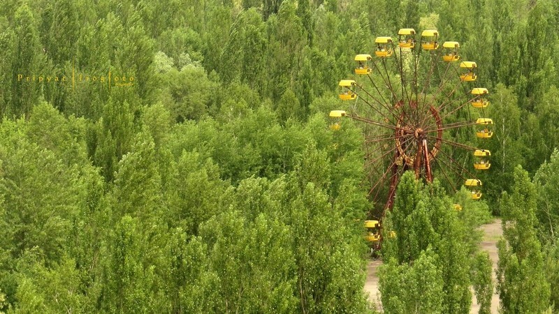 Природа захватывает Чернобыль