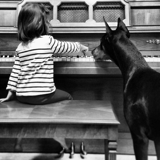 Играют на пианино 