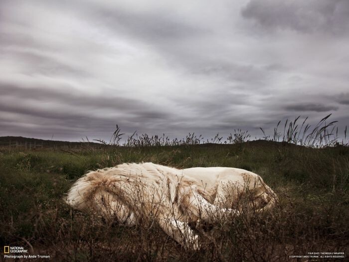 Красивые фотографии природы от National Geographic