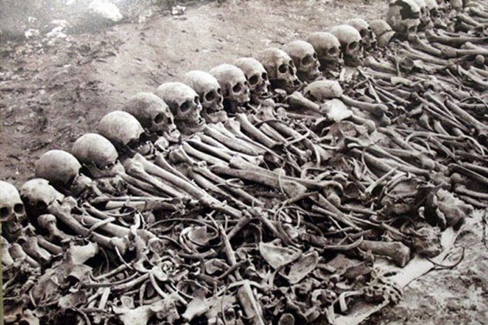 Фото № 7. Кости, черепа, скелеты ...