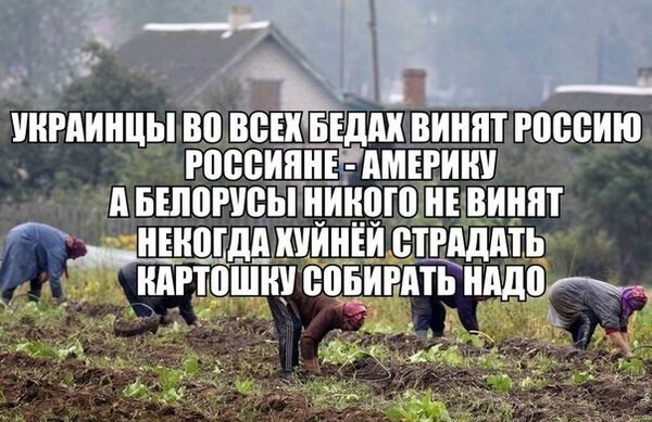 Смешные картинки с надписями