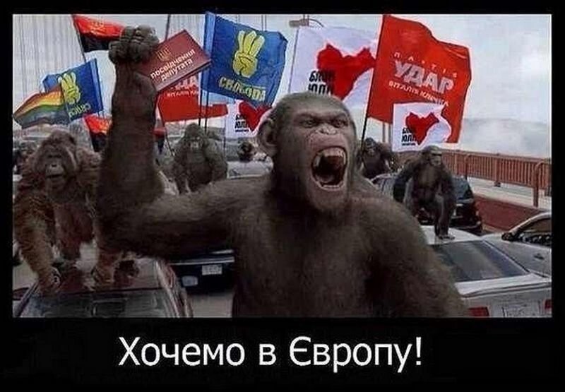 Бездумные цепные псы