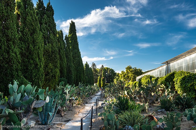 Ботанический сад. Тут есть интересная коллекция кактусов из более 250 растений. Это второе в Европе кактусовое собрание после Экзотического сада Людовика в Монако:
