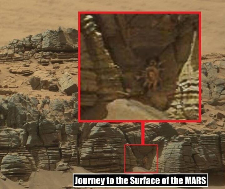 Краб на Марсе