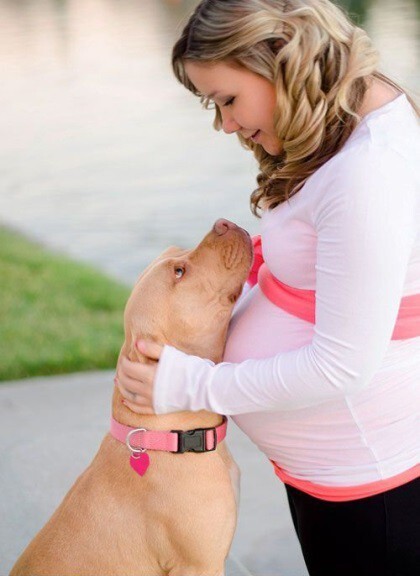  15 невероятно трогательных снимков:  собаки ждут пополнения в семье
