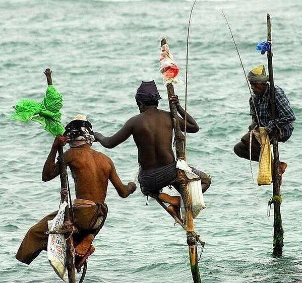 Рыбалка на шестах (Шри-Ланка)
