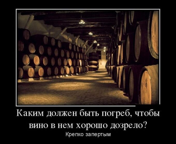 Каким должен быть погреб, чтобы вино в нём хорошо дозрело? Крепко запертым