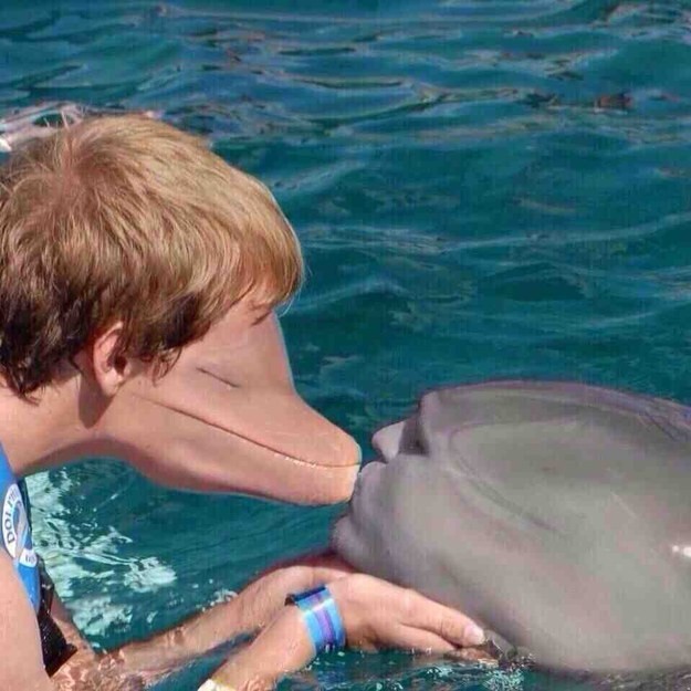 4. Поцелуй дельфина