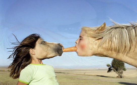 8. Девочка с лошадиным лицом и лошадь с лицом девочки. 