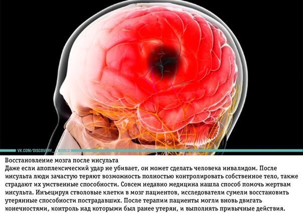 10 медицинских технологий, которые могут привести к бессмертию