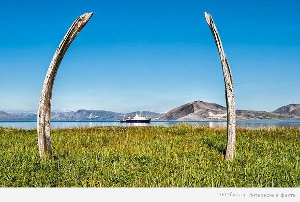 Китовая аллея – самое древнее капище
