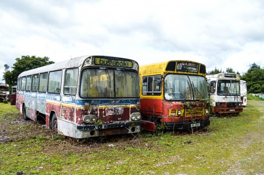 Экспозиция старых автобусов под открытым небом в Ирландии