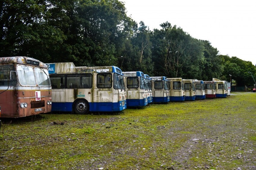 Экспозиция старых автобусов под открытым небом в Ирландии