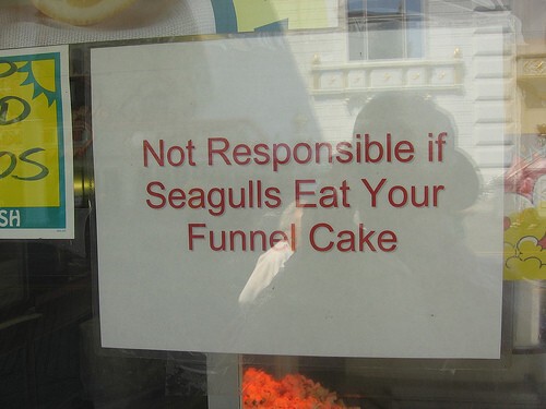 12. Мы не несем ответственности, если чайка съела ваш торт.