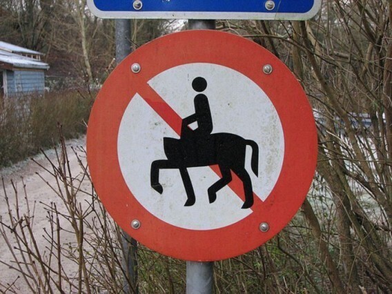 17. Ездить на безголовых лошадях запрещено