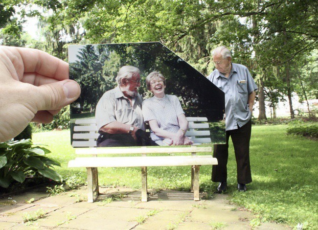 Фотографии, которые «целятся» в самое сердце