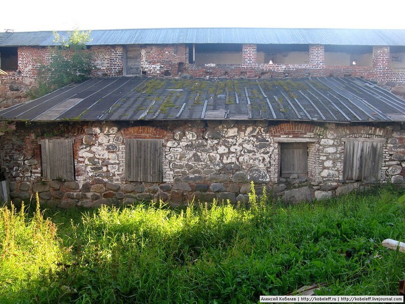 Дикий август. Соловецкая правда