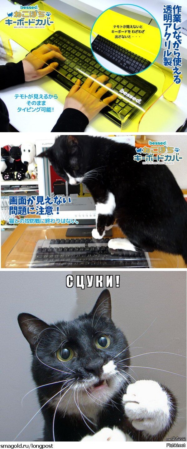 Защита клавиатуры от котов 