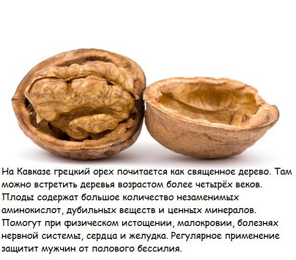 1. Грецкий орех