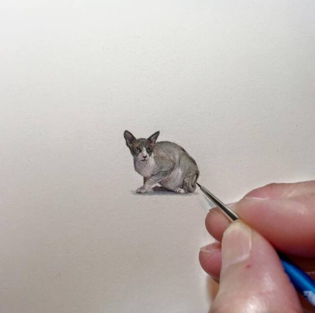 Удивительно точные миниатюрные рисунки Карен Лайбкэп (Karen Libecap)