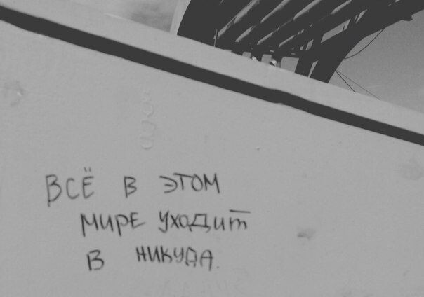 Надписи на стенах могут научить вас большему, чем учителя в школах