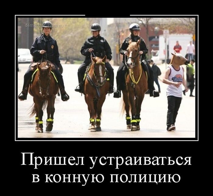 Пришёл устраиваться в конную полицию