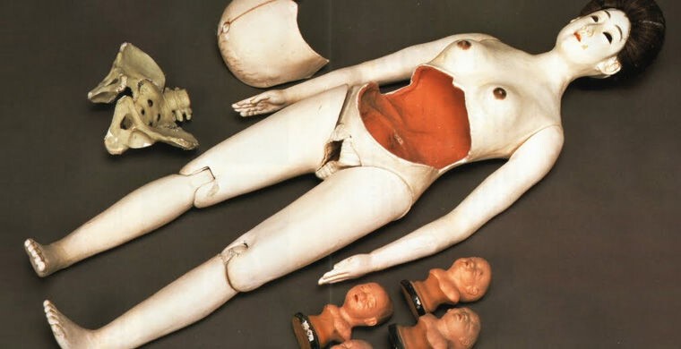 8. Анатомические куклы со всего света