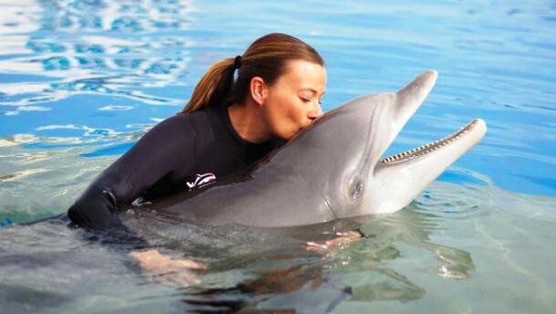 Интересные факты о дельфинах