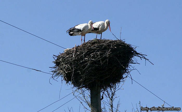 Почему в Беларуси не рай на земле (белорусская легенда)