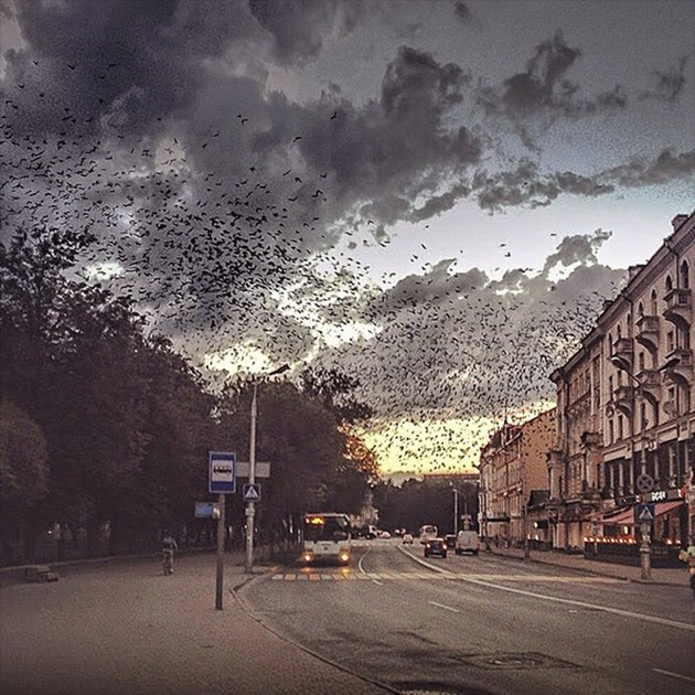 Российский фотограф стал лауреатом премии за лучшие Instagram*-фото