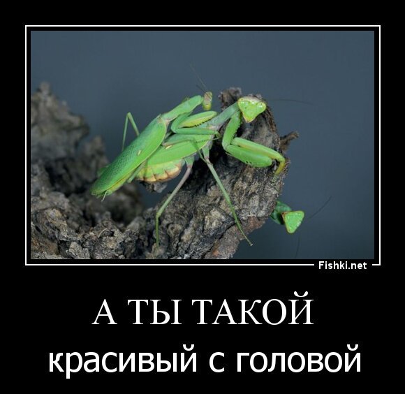 А ты такой